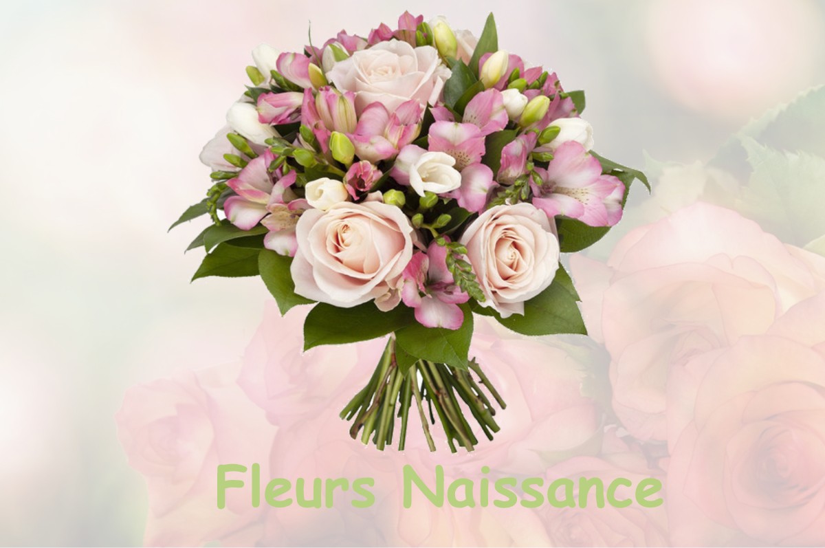 fleurs naissance TOULOUSE-LE-CHATEAU