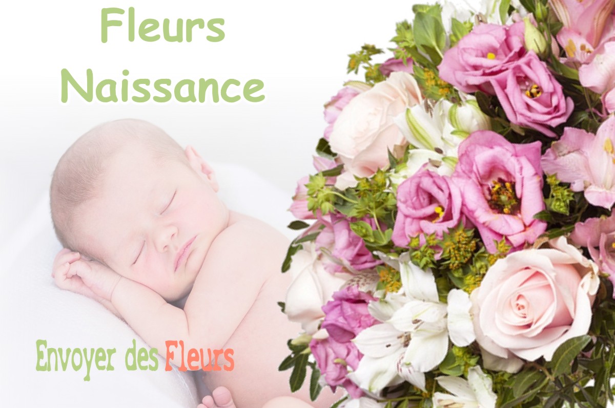 lIVRAISON FLEURS NAISSANCE à TOULOUSE-LE-CHATEAU